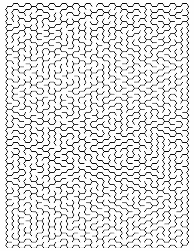 Coloriage de labyrinthe avec des chemins sinueux et des éléments naturels