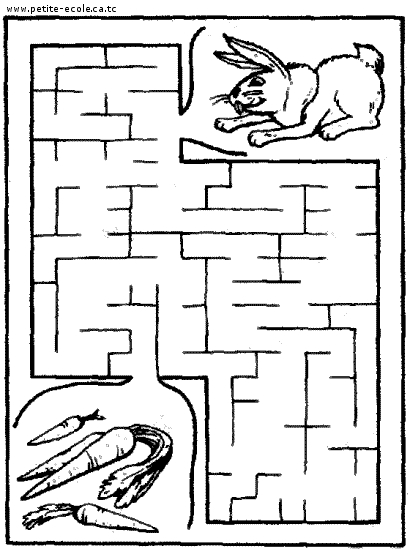 Labyrinthe complexe avec chemins sinueux et éléments décoratifs