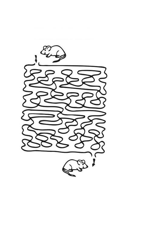 Coloriage de labyrinthe avec cheminement complexe et motifs variés