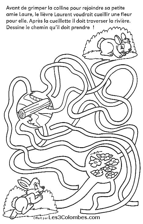 Un labyrinthe complexe avec des chemins sinueux et des motifs variés