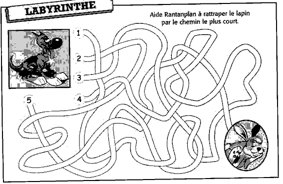 Coloriage de labyrinthe avec des chemins sinueux et des éléments végétaux