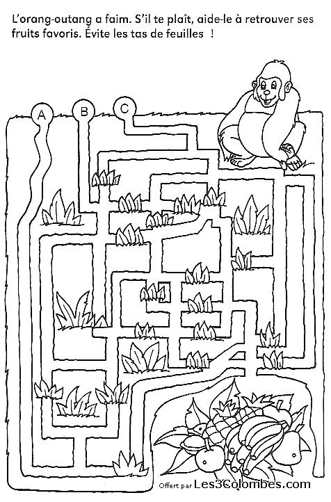Labyrinthe complexe avec chemins sinueux et obstacles