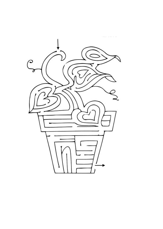 Un labyrinthe complexe avec des chemins sinueux et des obstacles variés