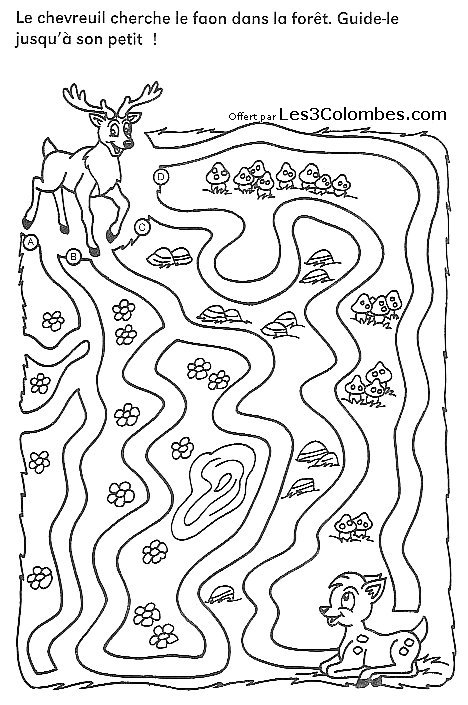 Coloriage d'un labyrinthe complexe avec des motifs variés