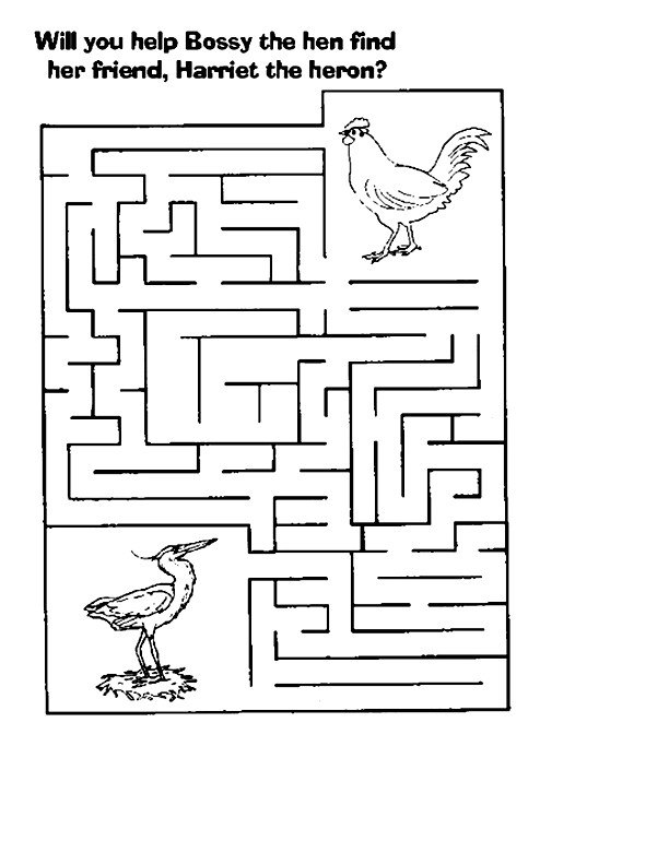 Labyrinthe complexe avec chemins sinueux et obstacles