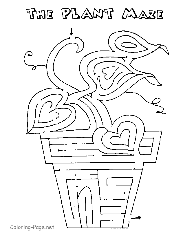 Coloriage d'un labyrinthe complexe avec des éléments naturels