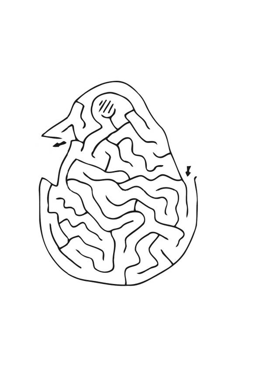 Coloriage d'un labyrinthe complexe avec chemins sinueux et éléments de nature