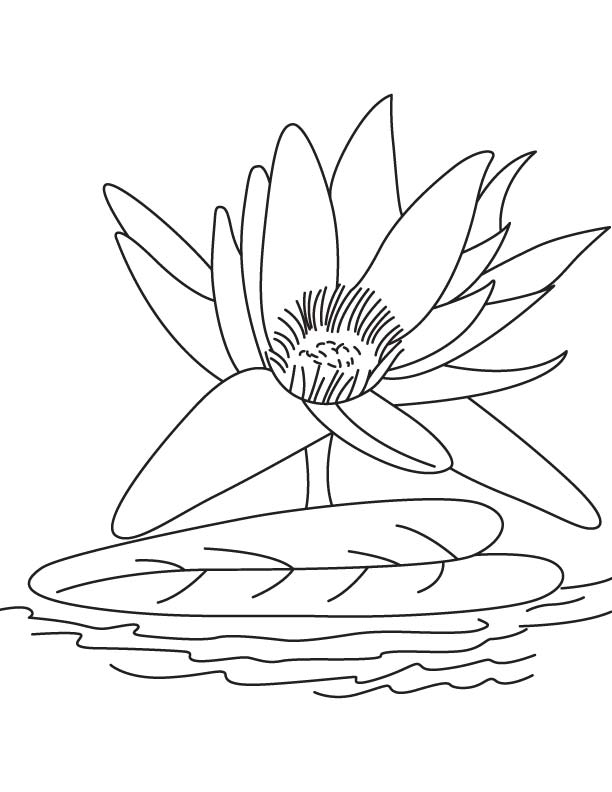 Coloriage d'un lac paisible entouré de montagnes et d'arbres