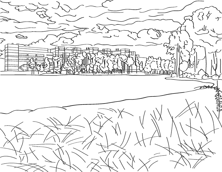 Un lac paisible entouré de verdure et de montagnes