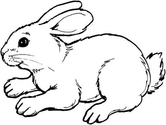 Un lapin mignon dans un jardin fleuri