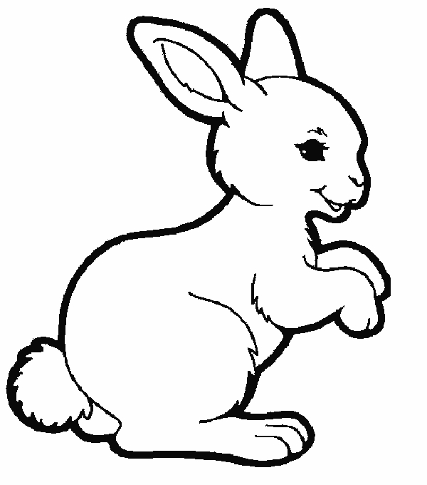 Un lapin joyeux assis au milieu de fleurs