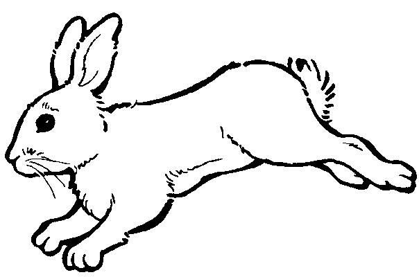 Un lapin joyeux dans un jardin fleuri
