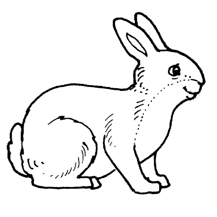 Un lapin joyeux parmi les fleurs et l'herbe