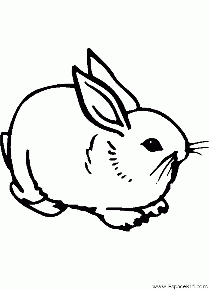 Un lapin espiègle se prélasse dans un champ fleuri