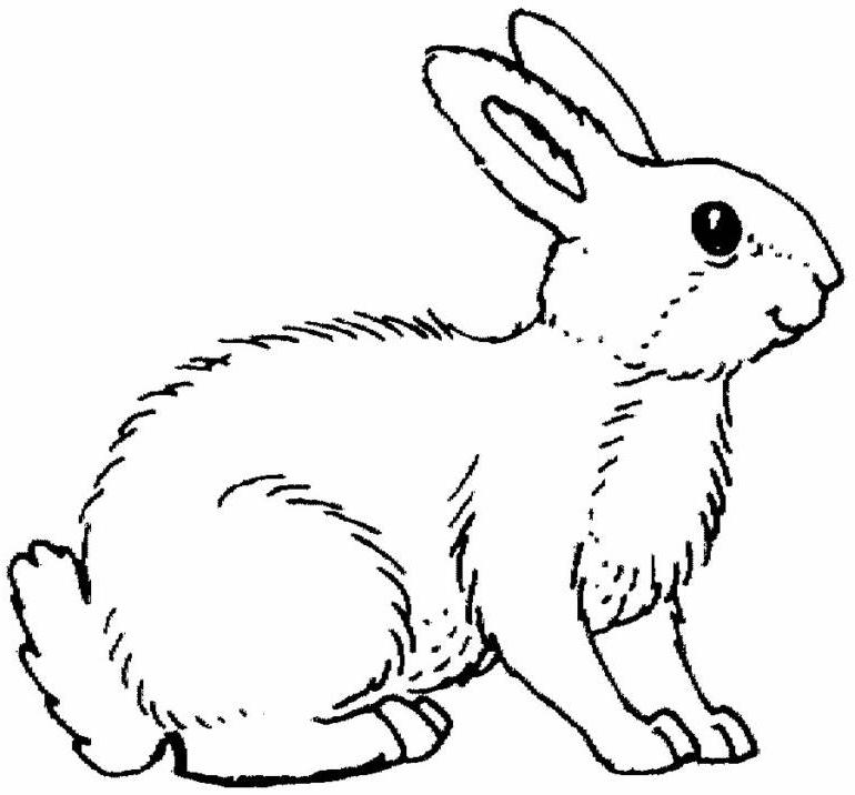 Un lapin mignon assis dans un champ de fleurs