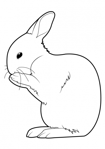 Un lapin joyeux s'épanouit dans un jardin fleuri