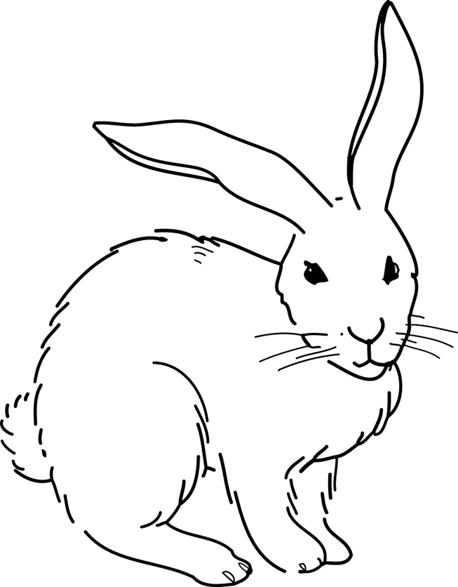 Un lapin joyeux dans un jardin fleuri