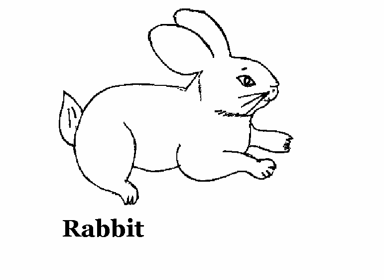 Un lapin joyeux dans un jardin fleuri