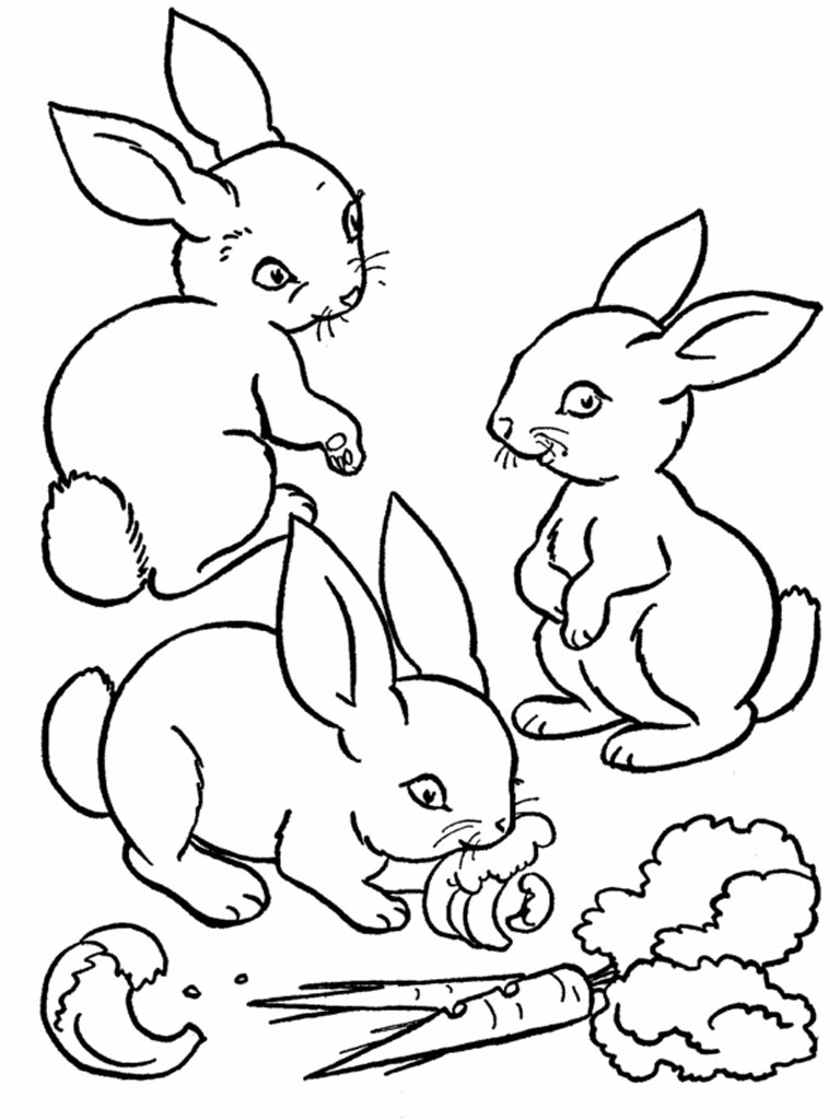 Un lapin joyeux sur un fond de nature verdoyante