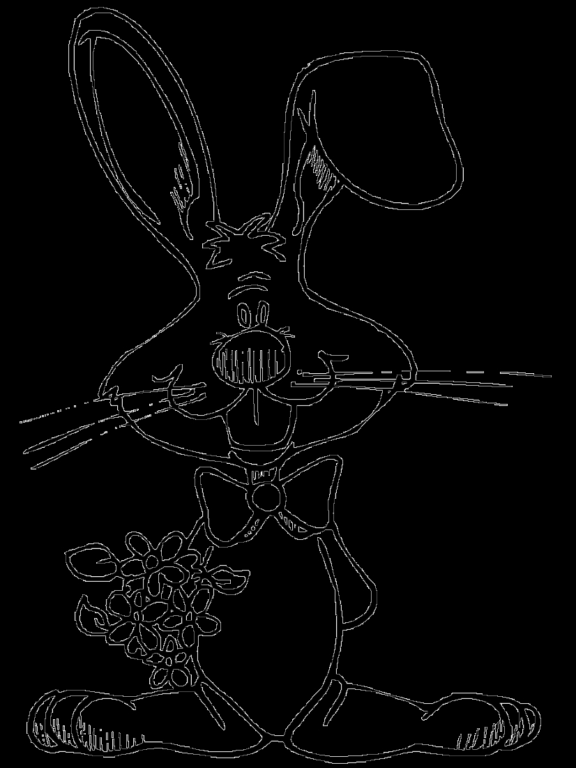 Lapin joyeux dans un champ fleuri