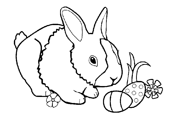 Un lapin au repos dans un jardin fleuri