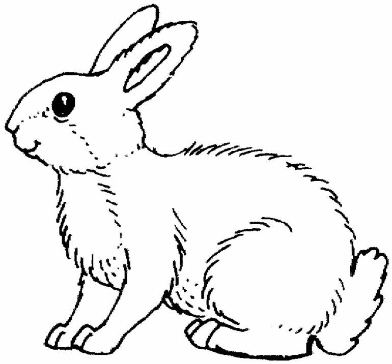 Un lapin joyeux dans un jardin en fleurs