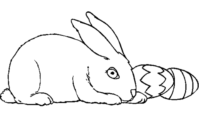 Un lapin curieux explorant son jardin fleuri