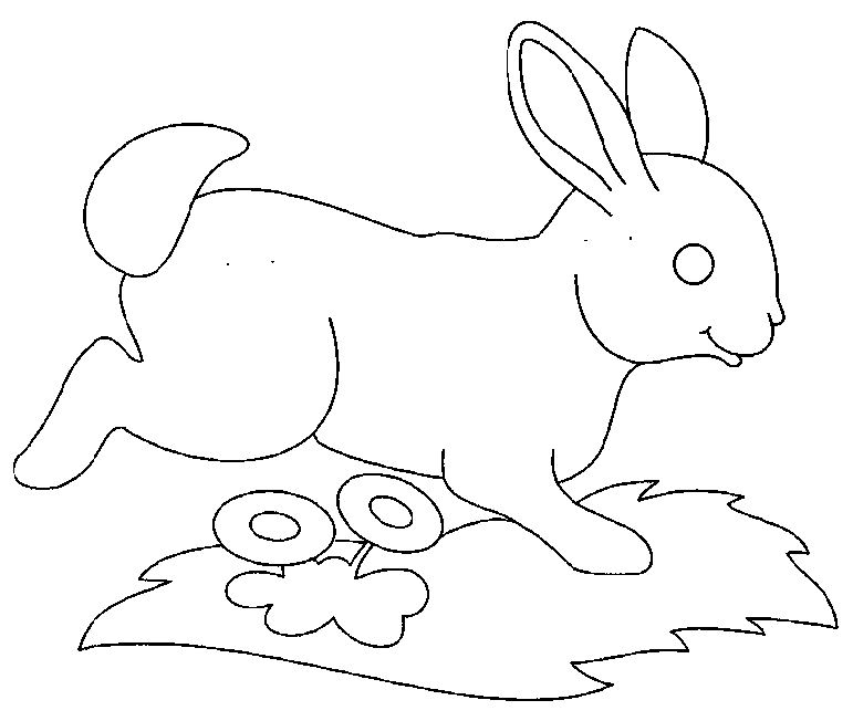 Lapin joyeux dans un champ fleuri