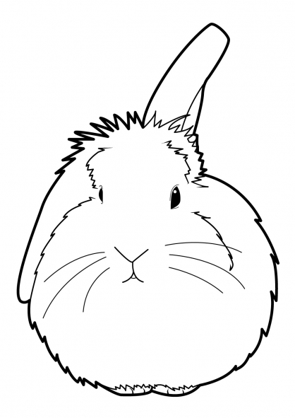 Un lapin joyeux jouant dans un champ fleuri