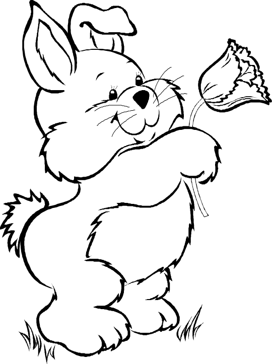 Un lapin joyeux sautant dans un champ fleuri