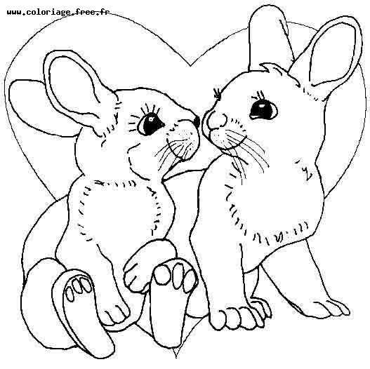Lapin joyeux au milieu d’un champ fleuri