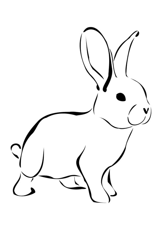 Lapin heureux dans un jardin fleuri