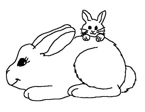 Un lapin mignon au cœur d'un paysage naturel