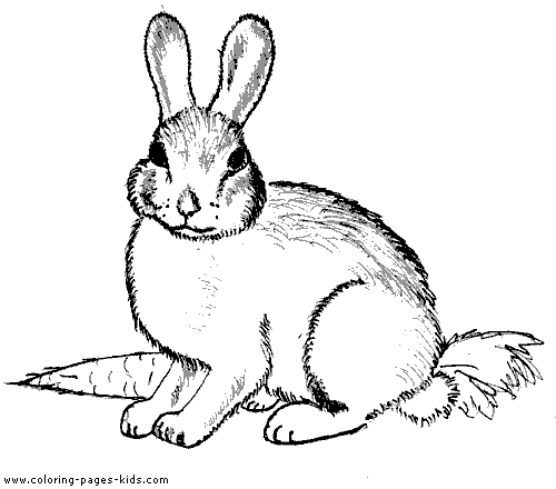 Lapin joyeux dans un jardin fleuri