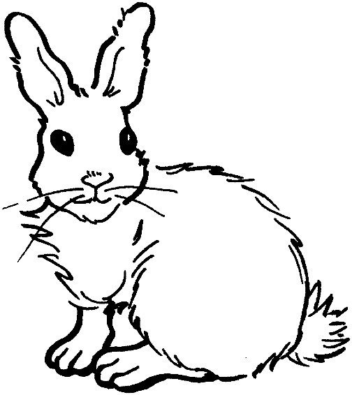 Un lapin joyeux en pleine nature, prêt à être colorié