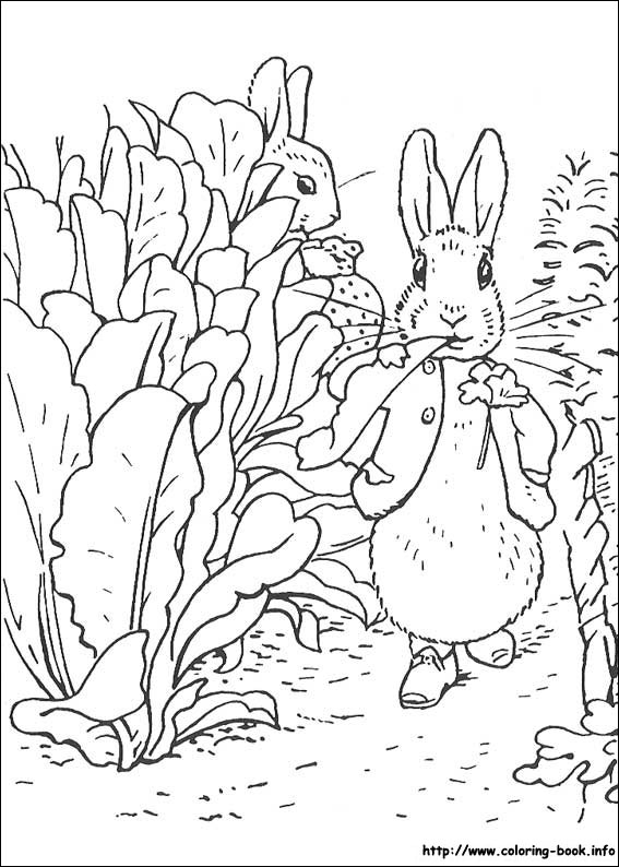 Lapin joyeux dans un champ fleuri