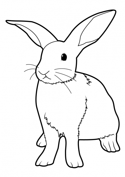 Un lapin joyeux en pleine nature avec des fleurs