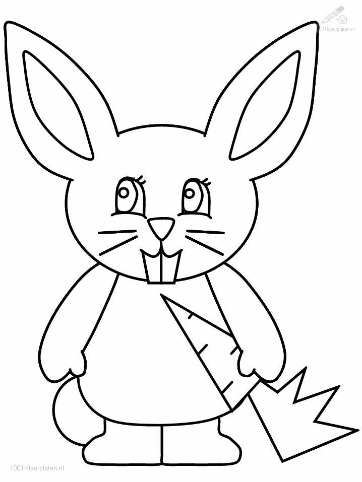 Lapin jouant dans un champ fleuri
