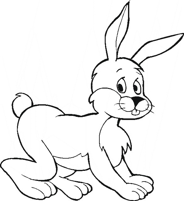 Un lapin joyeux se prélassant dans un champ fleuri