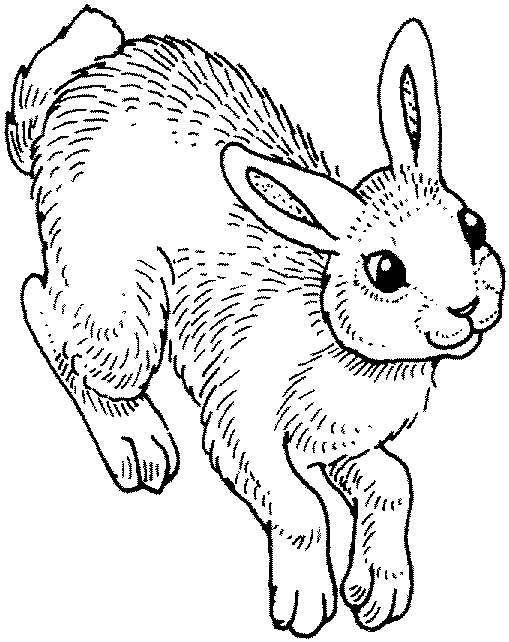 Un lapin joyeux dans un jardin fleuri