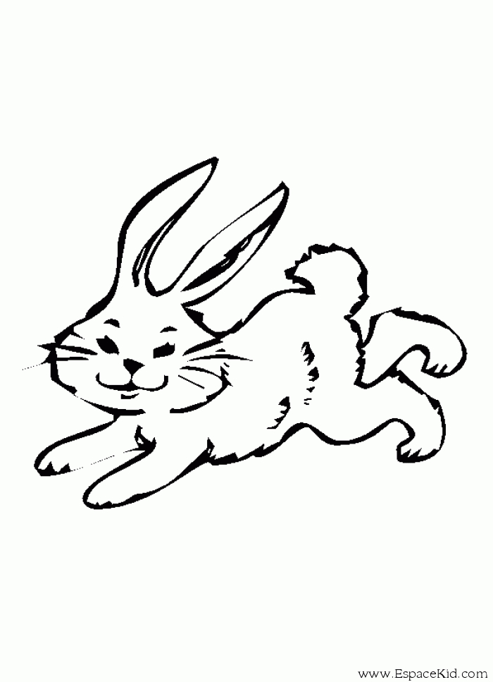 Un lapin joyeux en pleine nature