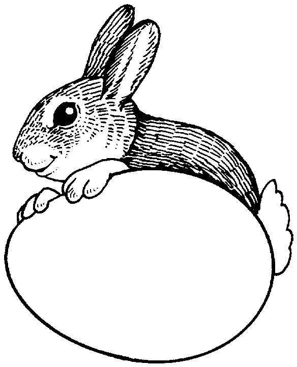 Lapin assis dans un jardin avec des fleurs