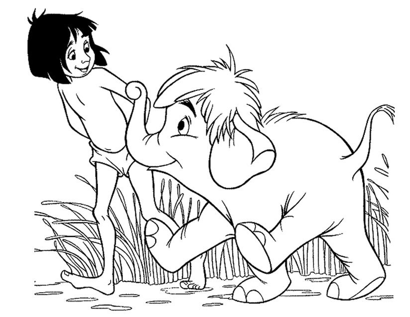 Scène de la jungle avec un éléphant et un singe en pleine aventure