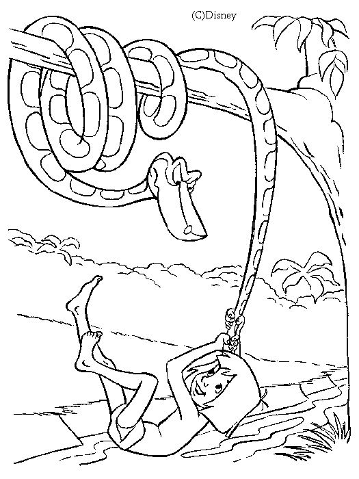 Un éléphant et un tigre dans la jungle entourés de feuillage Un éléphant et un tigre dans la jungle entourés de feuillage