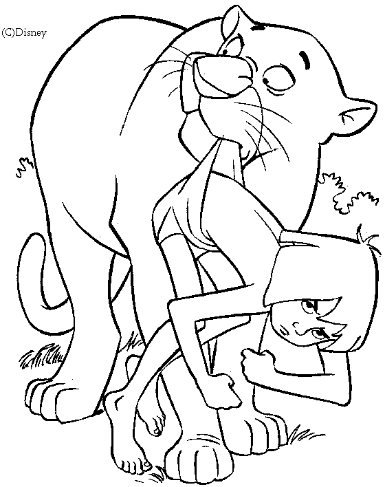 Le livre de la jungle : Mowgli et ses amis dans la jungle