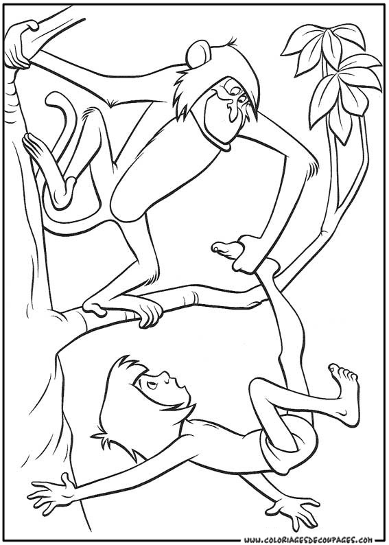 Coloriage de Mowgli, Baloo et Bagheera dans la jungle Coloriage de Mowgli, Baloo et Bagheera dans la jungle
