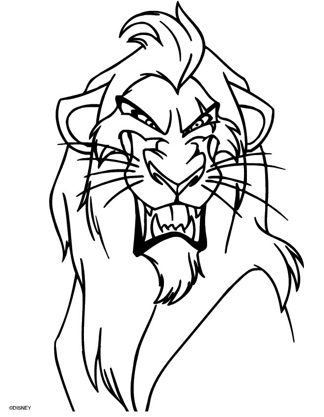 Le roi lion en pleine aventure dans la savane africaine