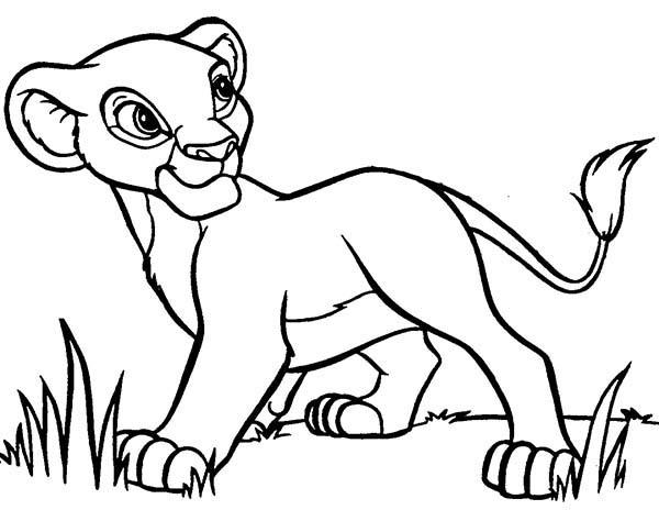 Simba et Nala se promènent dans la savane