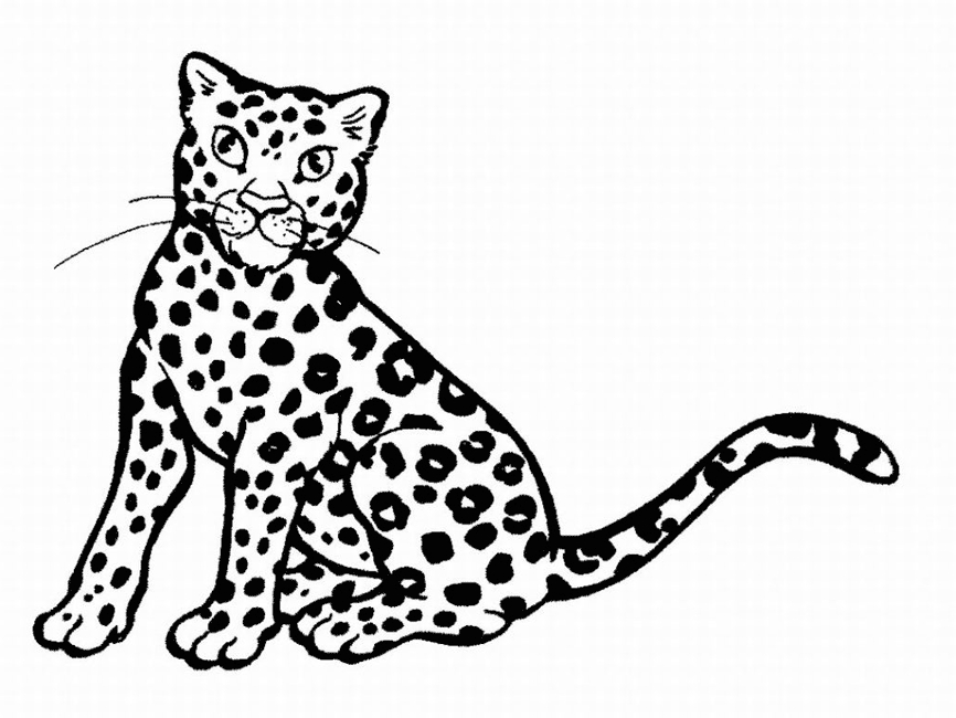 Coloriage d'un léopard dans un environnement naturel