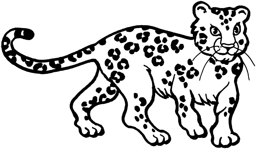 Coloriage d'un léopard majestueux en pleine nature